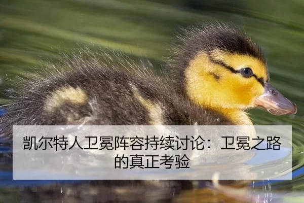 凯尔特人卫冕阵容持续讨论：卫冕之路的真正考验
